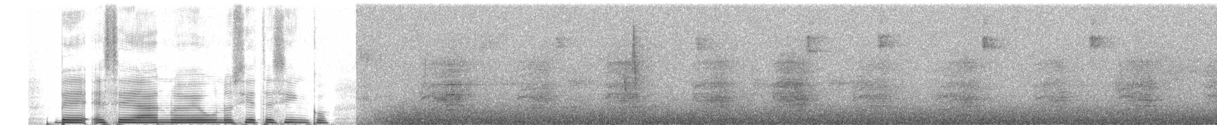 Aulacorhynchus sp. - ML258972