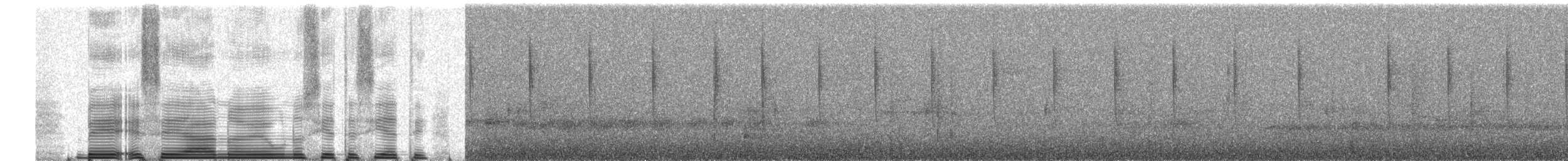 hummingbird sp. - ML258974