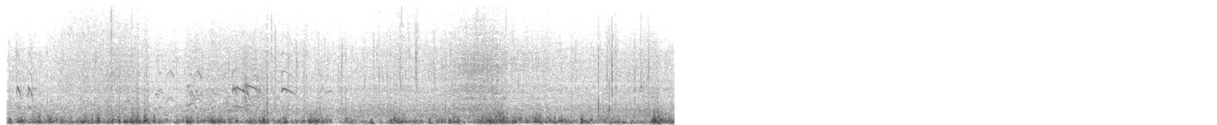 steinvender - ML258977241
