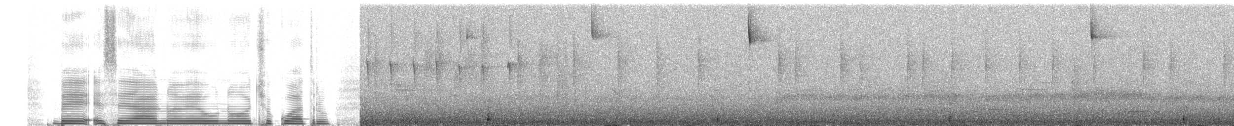 hummingbird sp. - ML258981