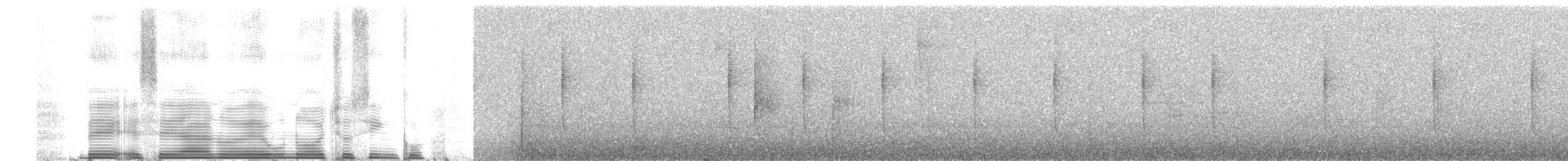 hummingbird sp. - ML258982