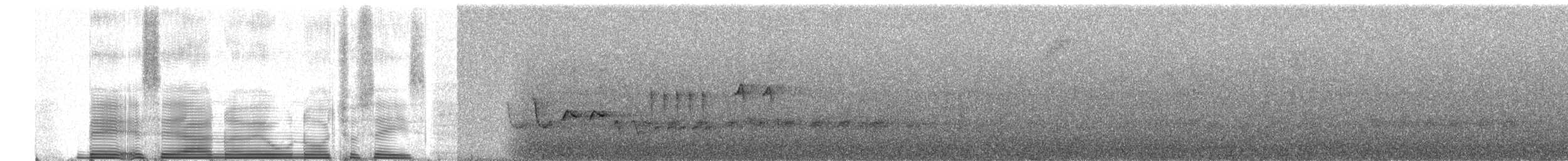 Southern House Wren - ML258983