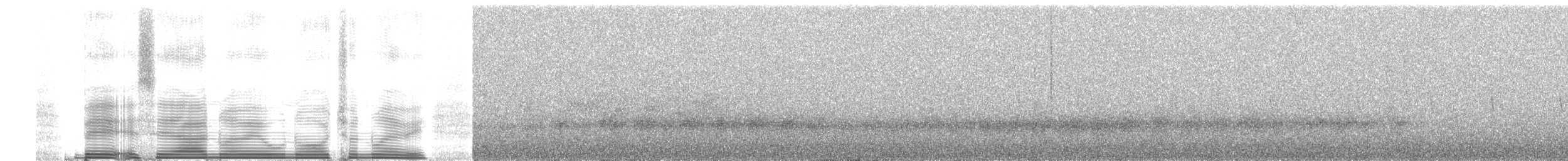 Whiskered Wren - ML258986