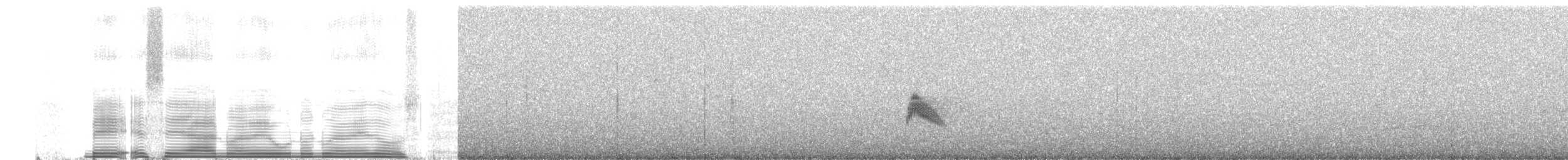 Mountain Elaenia - ML258989