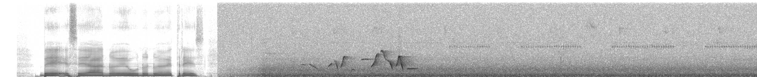 Whiskered Wren - ML258990