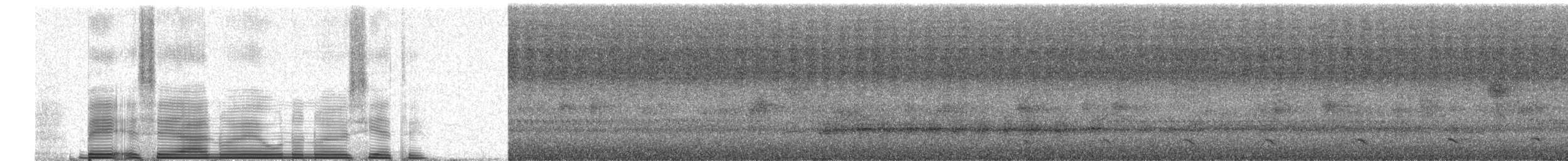 forest-falcon sp. - ML258994