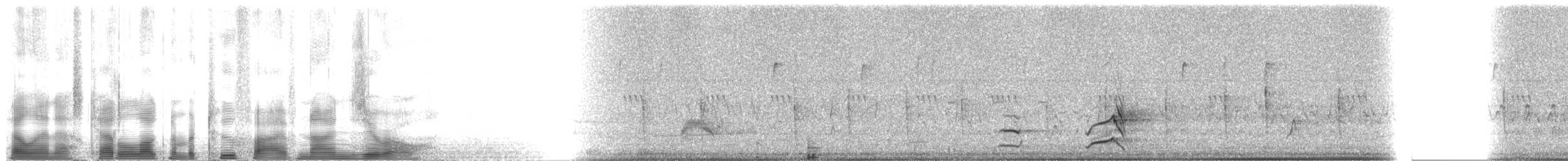 Black-throated Bobwhite - ML2590