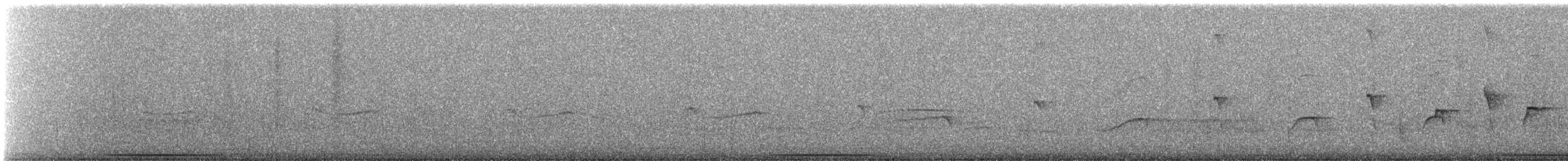 lenivka větší (ssp. striata) - ML259013771