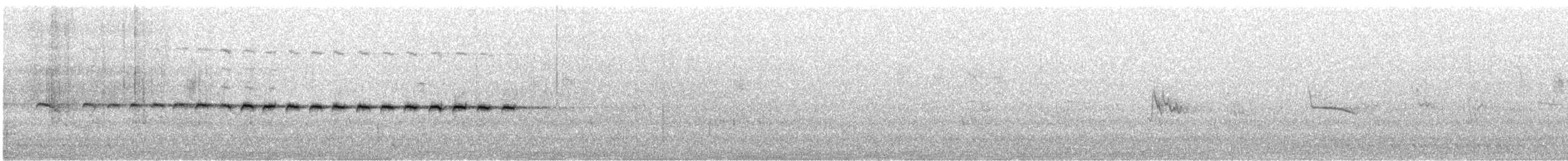 Медолюб-шилодзьоб східний - ML259112161