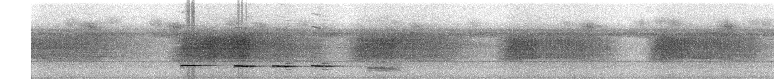 Graubrust-Ameisendrossel - ML259123851