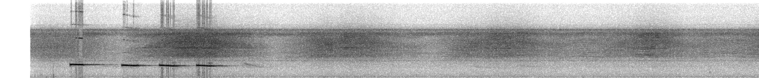 Graubrust-Ameisendrossel - ML259124491