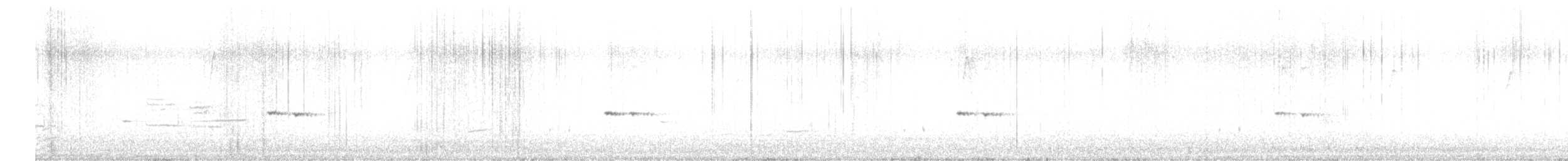 stripediamantfugl (ornatus) - ML259127651
