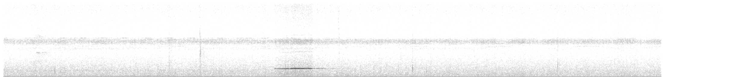 Thicket Tinamou - ML25917451