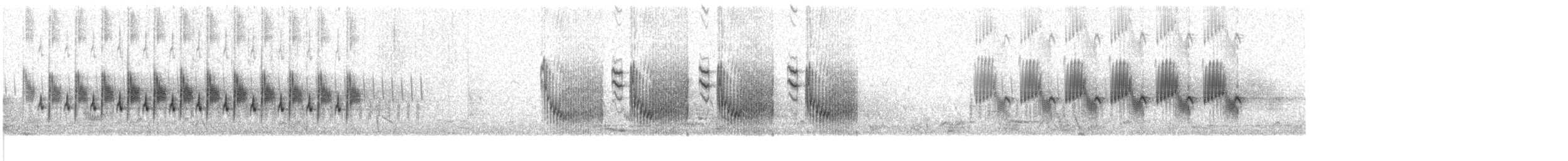 Rock Wren - ML259176701