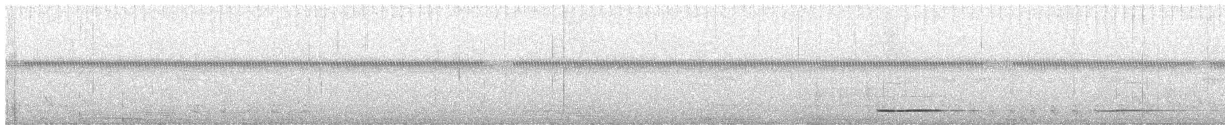 Thicket Tinamou - ML25926241