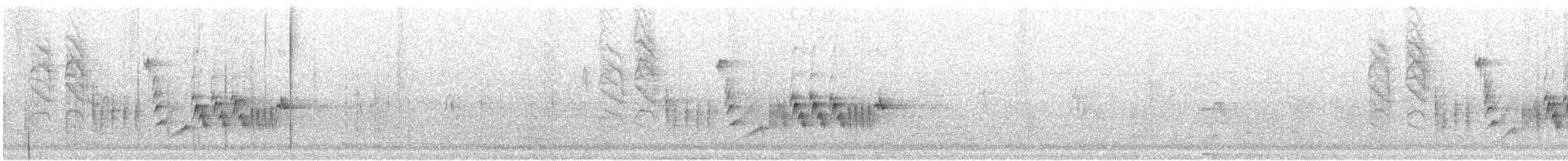 Southern House Wren - ML259277631