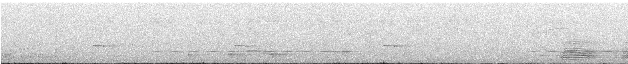 Spotted Quail-thrush - ML259379551