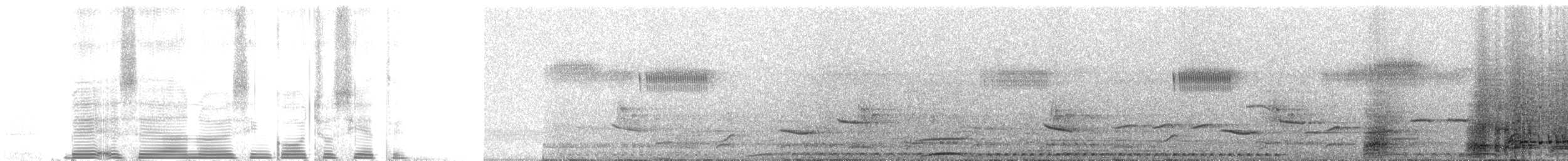 Краснокрылая чачалака - ML259383