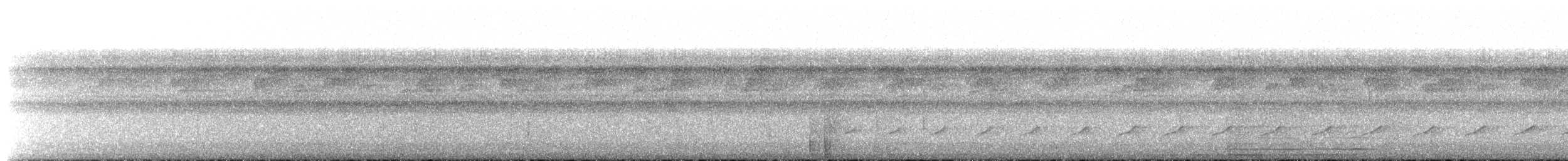 Лінивка-строкатка чорновола - ML259398811