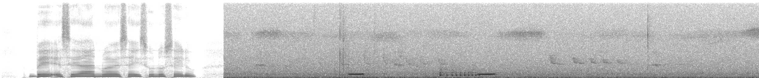 holoubek šedomodrý - ML259406