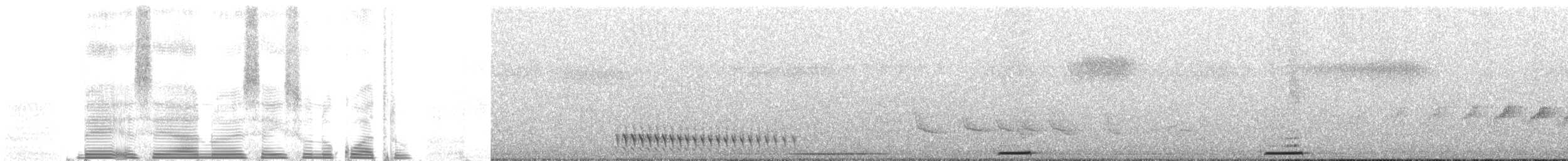 holoubek šedomodrý - ML259410