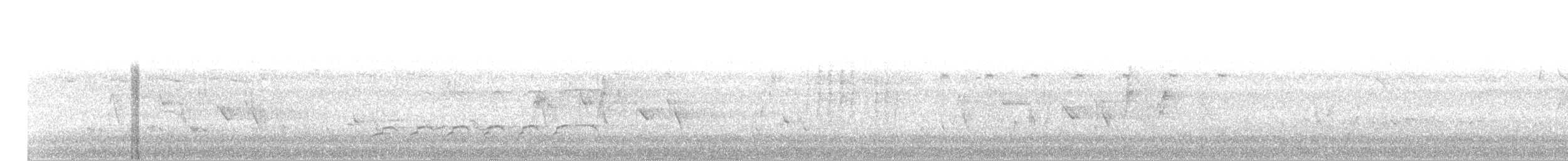 Изменчивый хохлатый орёл - ML259441461