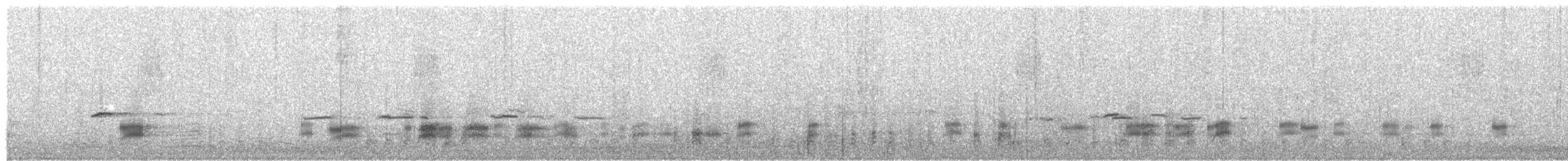 Schnatterente - ML259449671