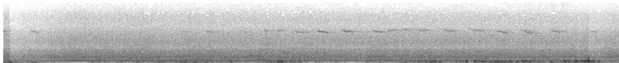 White-throated Dipper - ML259452571