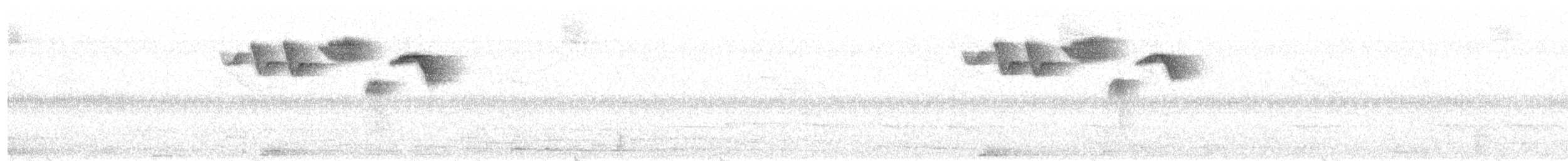 White-naped Brushfinch - ML259643471