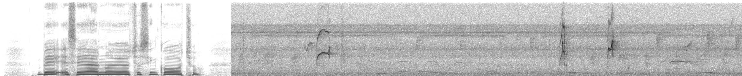 Drab Water Tyrant - ML259654