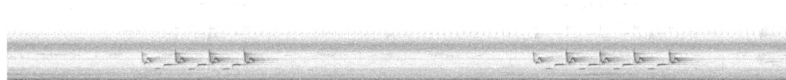 Поплітник каролінський - ML259688541