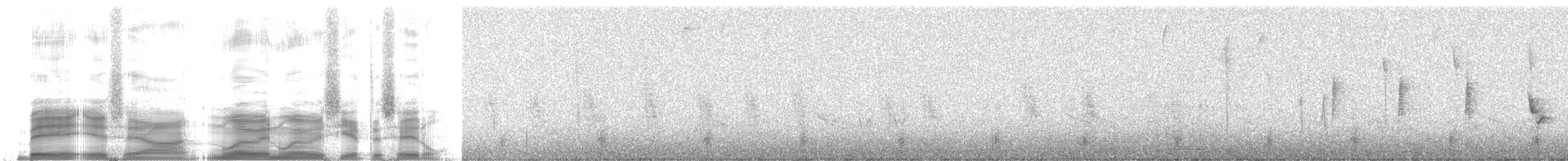 Paruline à cimier noir - ML259766