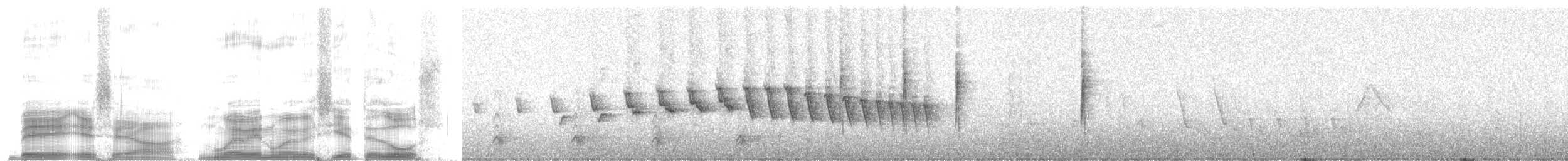 Black-crested Warbler - ML259768