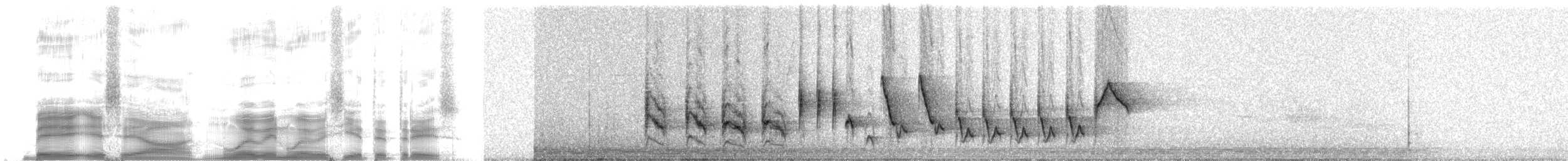 Troglodyte familier (groupe musculus) - ML259769