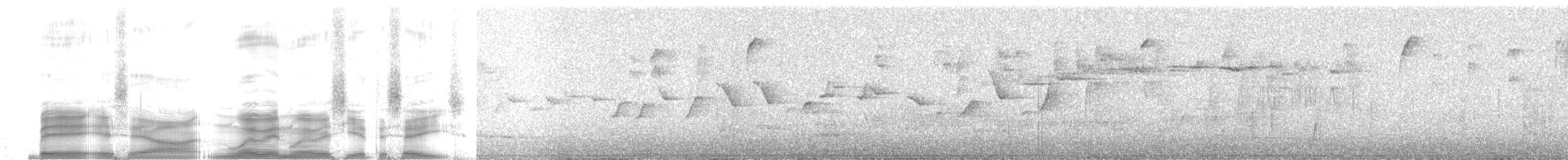 Black Flowerpiercer - ML259772