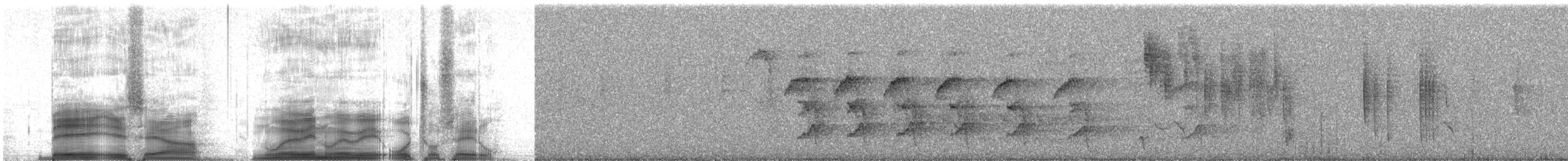 Great Thrush - ML259776