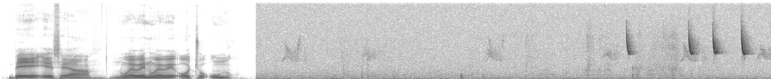 Moustached Brushfinch - ML259777