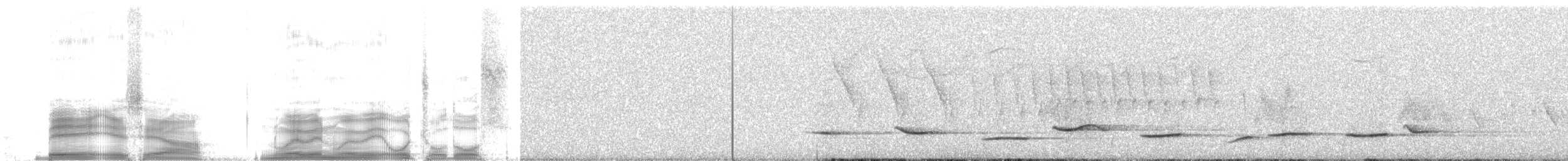 Yellow-backed Oriole - ML259778