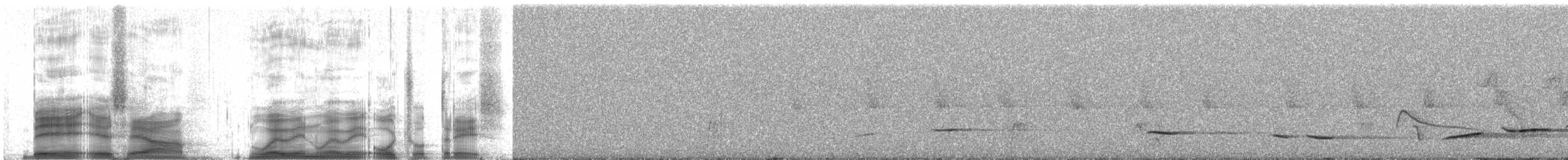 Yellow-backed Oriole - ML259779