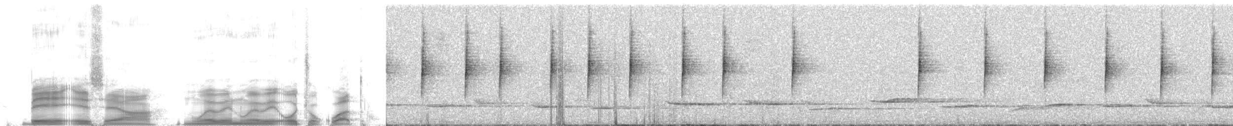 Moustached Brushfinch - ML259780