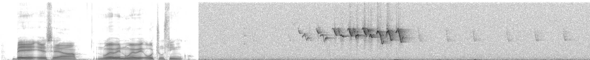 Slate-throated Redstart - ML259781