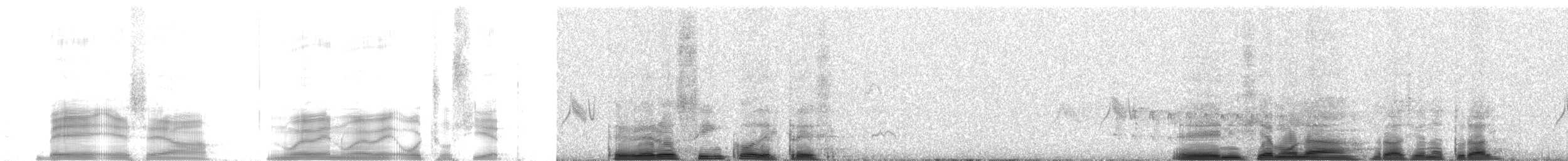 Silvery-throated Spinetail - ML259783