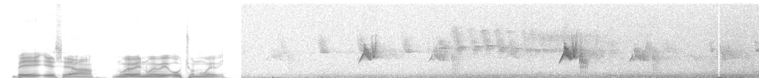 new world flycatcher sp. - ML259785