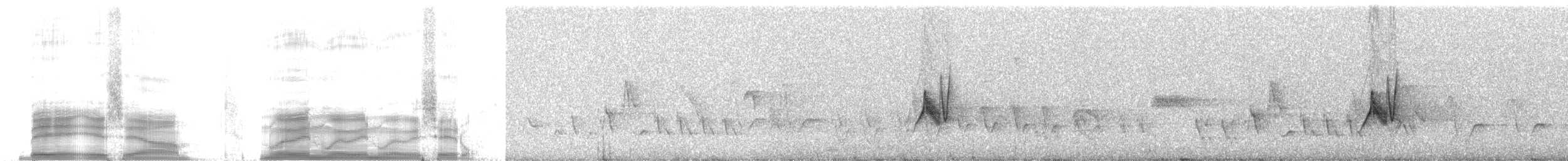 new world flycatcher sp. - ML259786