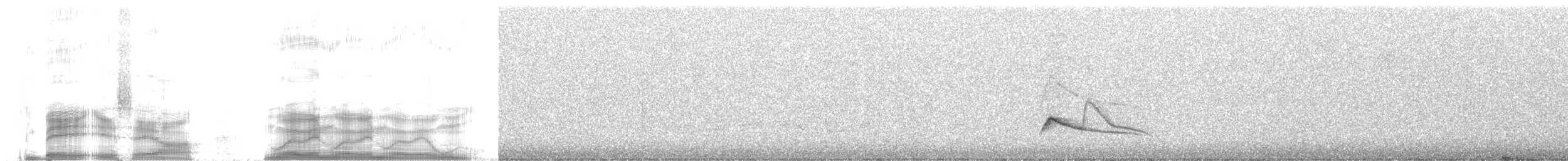 Mountain Elaenia - ML259787