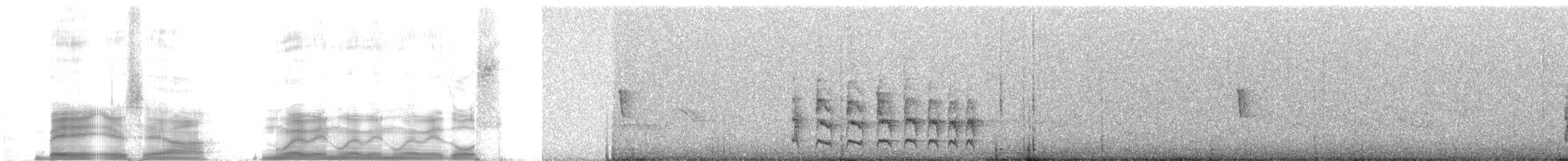 Silvery-throated Spinetail - ML259788