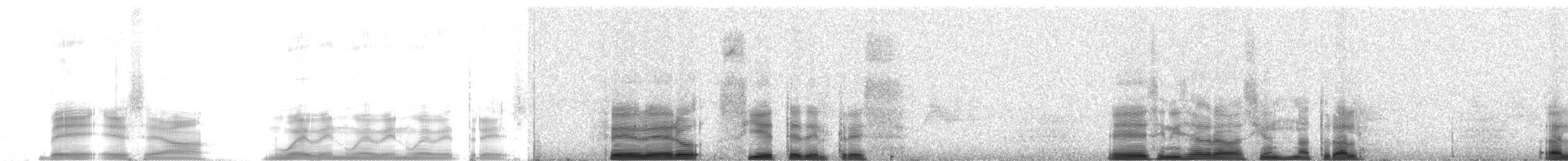 Pale-bellied Tapaculo - ML259789