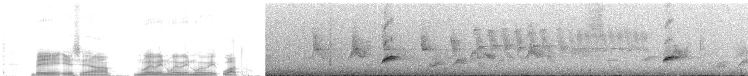 thrush sp. - ML259790