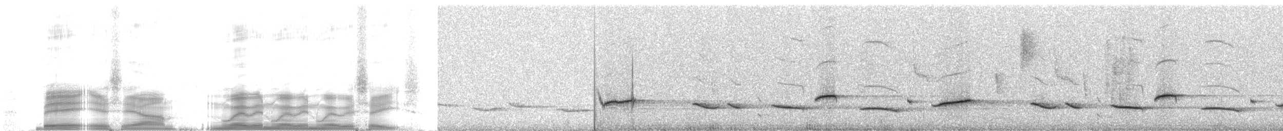 Yellow-backed Oriole - ML259792