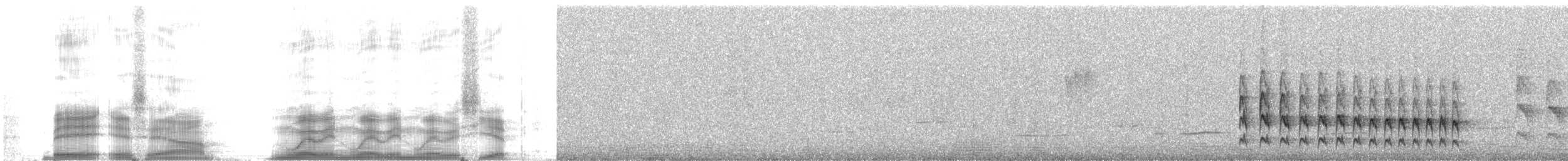 Silvery-throated Spinetail - ML259793